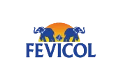 fevicol
